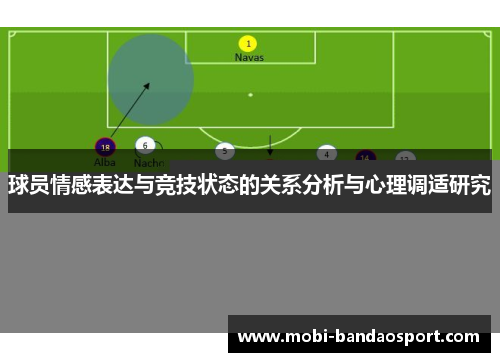 球员情感表达与竞技状态的关系分析与心理调适研究