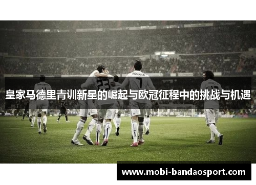 皇家马德里青训新星的崛起与欧冠征程中的挑战与机遇