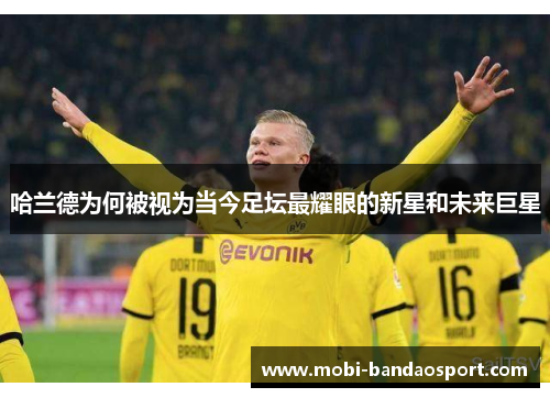 哈兰德为何被视为当今足坛最耀眼的新星和未来巨星