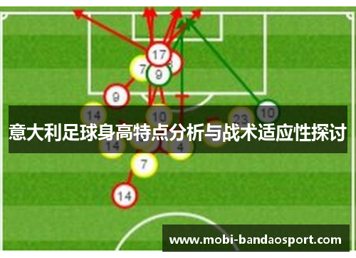 意大利足球身高特点分析与战术适应性探讨