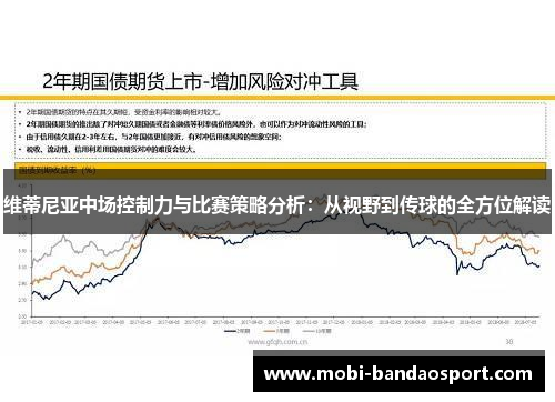 维蒂尼亚中场控制力与比赛策略分析：从视野到传球的全方位解读