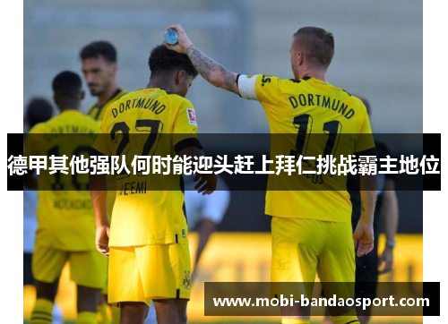 德甲其他强队何时能迎头赶上拜仁挑战霸主地位 德甲其他强队何时能迎头赶上拜仁挑战霸主地位